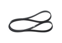 V-Ribbed Belt