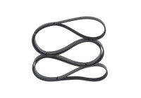 V-Ribbed Belt