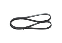V-Ribbed Belt