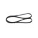V-Ribbed Belt