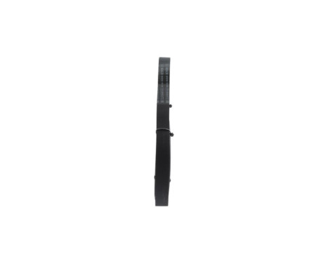 V-Ribbed Belt, Image 2