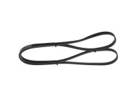 V-Ribbed Belt
