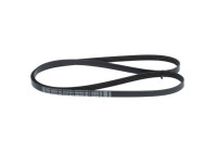 V-Ribbed Belt