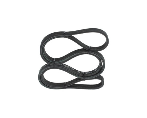 V-Ribbed Belt