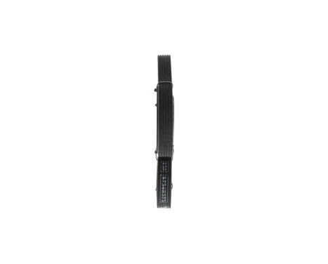V-Ribbed Belt, Image 2