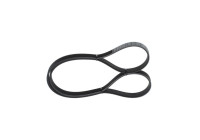 V-Ribbed Belt