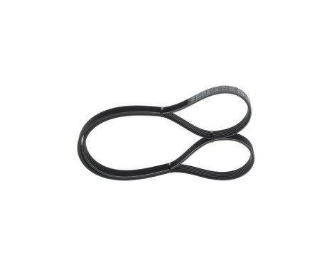 V-Ribbed Belt