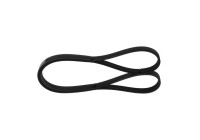 V-Ribbed Belt