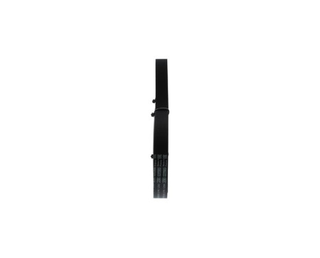 V-Ribbed Belt, Image 2