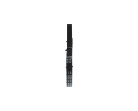 V-Ribbed Belt, Image 2