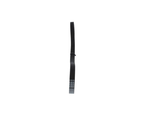V-Ribbed Belt, Image 4
