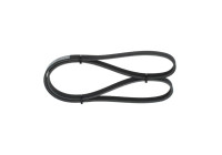 V-Ribbed Belt