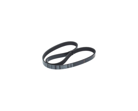 V-Ribbed Belt