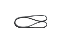 V-Ribbed Belt