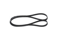 V-Ribbed Belt