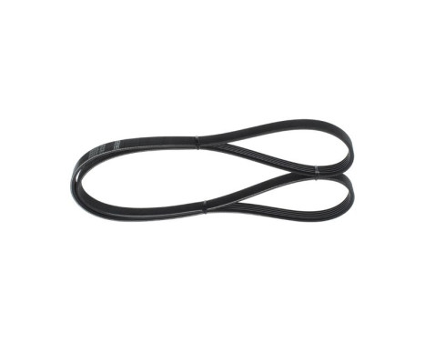 V-Ribbed Belt