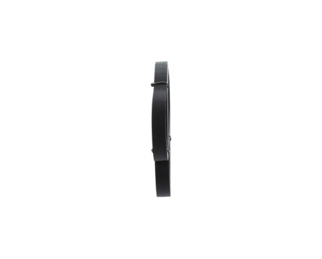 V-Ribbed Belt, Image 4