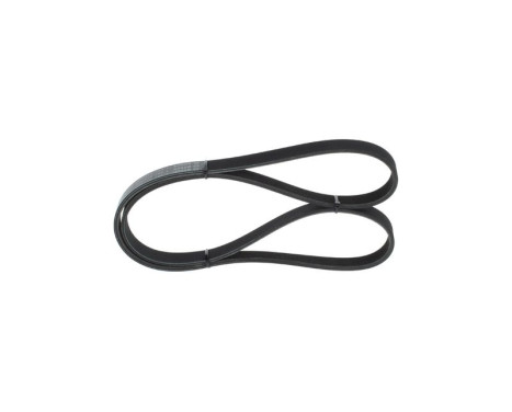 V-Ribbed Belt