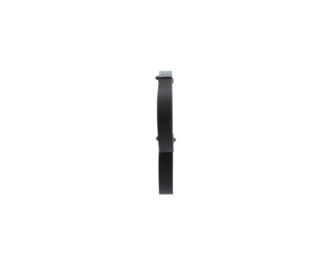 V-Ribbed Belt, Image 4