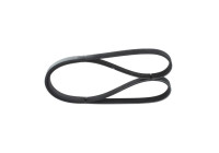 V-Ribbed Belt