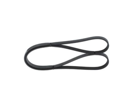 V-Ribbed Belt