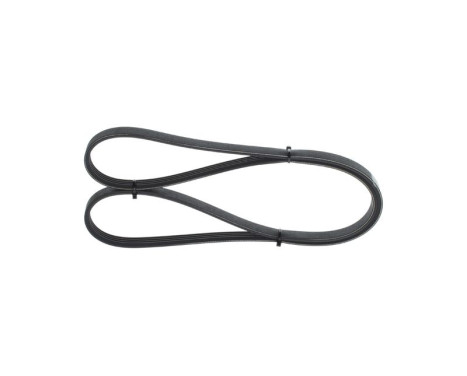 V-Ribbed Belt, Image 3