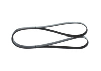 V-Ribbed Belt