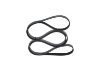 V-Ribbed Belt