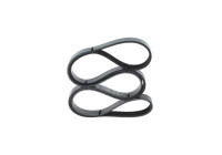 V-Ribbed Belt