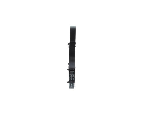 V-Ribbed Belt, Image 2