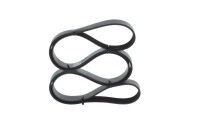 V-Ribbed Belt