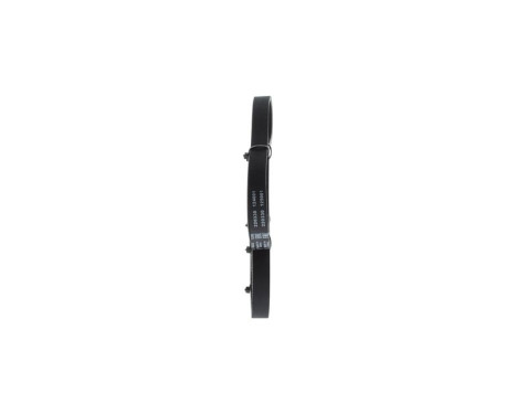 V-Ribbed Belt, Image 2