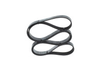 V-Ribbed Belt