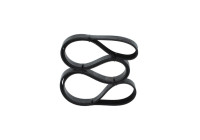 V-Ribbed Belt