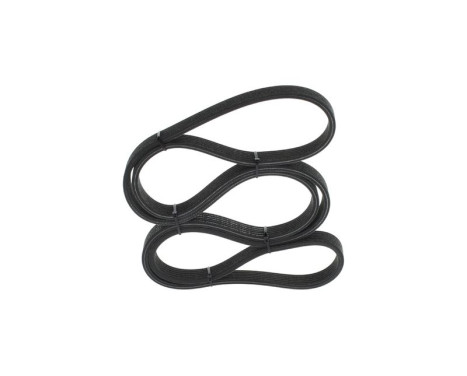 V-Ribbed Belt