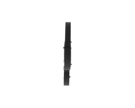 V-Ribbed Belt, Image 2