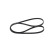 V-Ribbed Belt