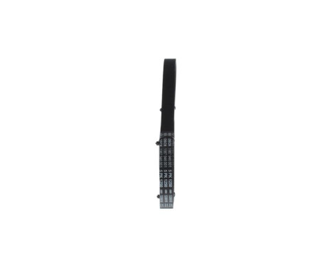 V-Ribbed Belt, Image 2