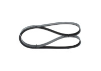 V-Ribbed Belt