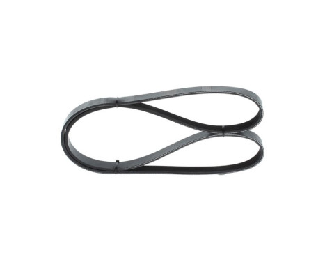 V-Ribbed Belt