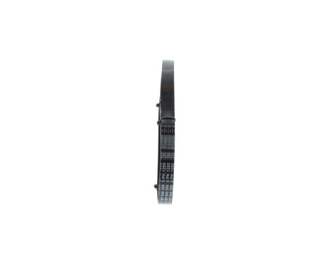 V-Ribbed Belt, Image 2