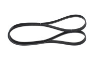 V-Ribbed Belt