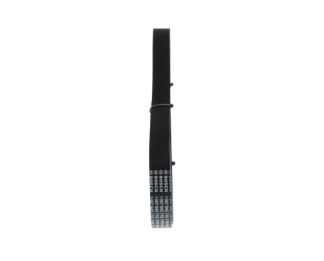 V-Ribbed Belt, Image 4