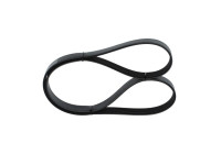V-Ribbed Belt