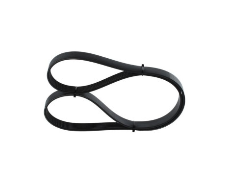 V-Ribbed Belt, Image 3