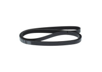 V-Ribbed Belt