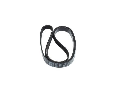 V-Ribbed Belt, Image 2