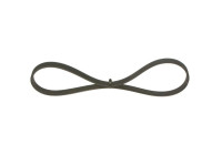 V-Ribbed Belt
