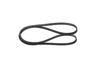 V-Ribbed Belt
