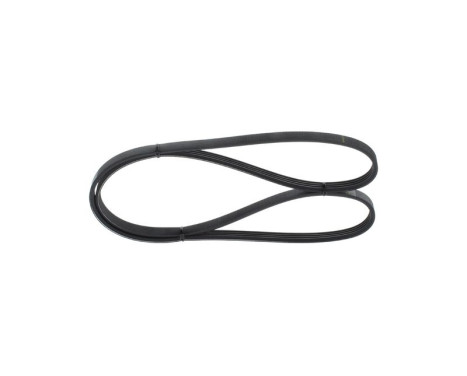 V-Ribbed Belt